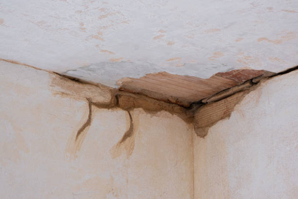 Best Carpet water damage restoration  in Rush Springs, OK