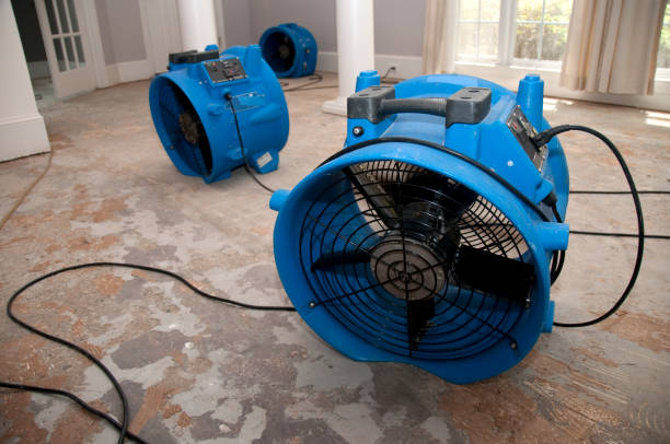 Best Fire Damage Restoration  in Rush Springs, OK